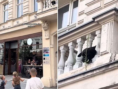 Screengrab of the pet dog playing fetch with strangers from the balcony of his home