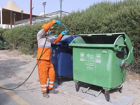 Still from video of the pest control campaign in Sharjah shared by the municipality on social media on Thursday