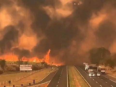 The Sao Paulo state government set up a crisis cabinet to coordinate work on battling the flames.