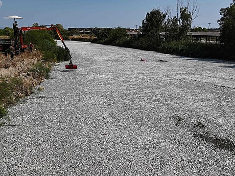 A worker operates a mobile crane to remove dead fish floating from the Xiria River near Volos, central Greece.