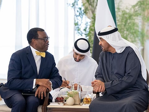 Sheikh Mohamed bin Zayed Al Nahyan, President of the United Arab Emirates (R) meets with Dr Akinwumi Adesina, President of the African Development Bank Group (L)