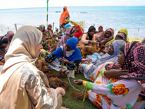 Sheikha Jawaher bint Mohammed Al Qasimi interacts with women at the seaweed farm during her official visit to Zanzibar.