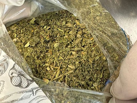 The drugs were cleverly concealed within cardboard and plastic food product boxes of well-known brands to avoid suspicion.