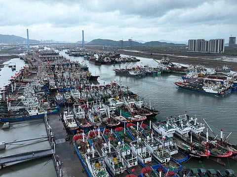 Fishing boats shelter in the port in Zhoushan, in China's eastern Zhejiang province ahead of the arrival of Typhoon Bebinca on September 15, 2024.