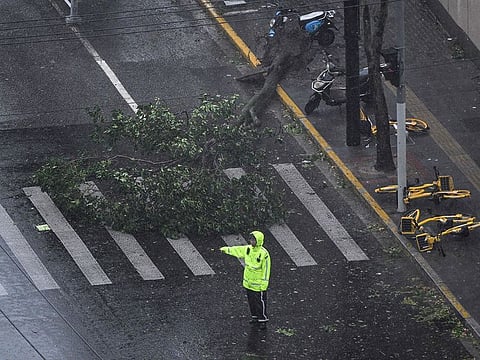 A policeman controls traffic next to a tree downed by strong winds from the passage of Typhoon Bebinca in Shanghai.