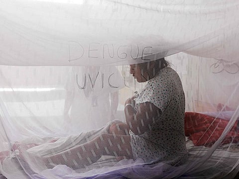 Record dengue outbreaks have been recorded in several parts of the world in recent years.