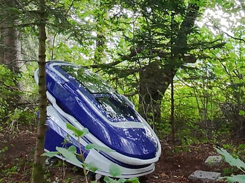 A handout picture released by "The Last Resort", an assisted dying group, on September 24, 2024 and taken on the morning of September 23, 2024 shows the Sarco pod at the location where it was allegedly used by a 64-year-old American woman who "died using the Sarco device" at approximately 4:01 pm on September 23, 2024, according to a statement by "The Last Resort".