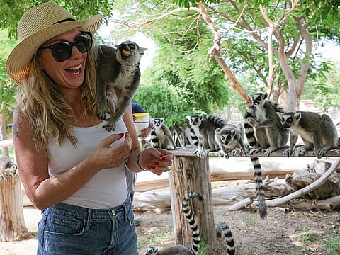 Dubai Safari Park is offering a 40 per cent discount on general admission entry tickets.