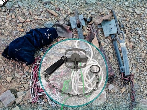 The seized traps shown on social media by the environment agency