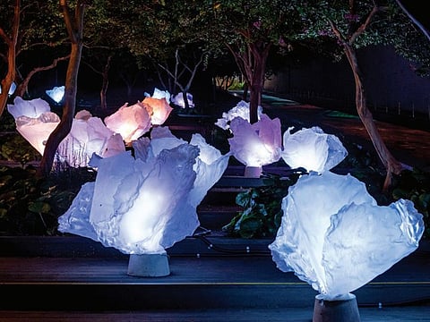 The art installation by Choi Ji-ii, which was inspired from observing the rose of Sharon, which blooms beautifully before falling to the ground after fulfilling its purpose.