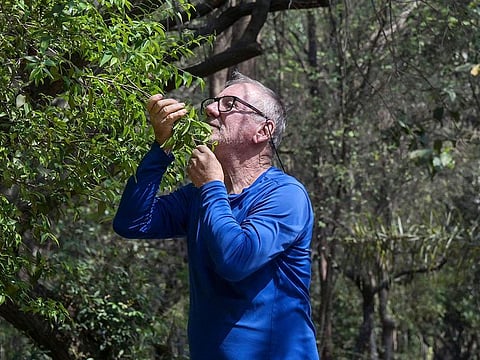 Helio da Silva, creator of the Tiquatira Linear Park Engineer Werner Eugênio Zulauf, enjoys the park, in Sao Paulo, Brazil, on September 4, 2024.