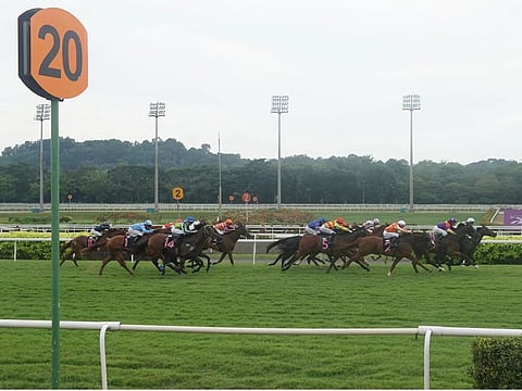 The Singapore Turf Club, a site of more than 120 hectares (300 acres) is to be bulldozed for new public and private homes.
