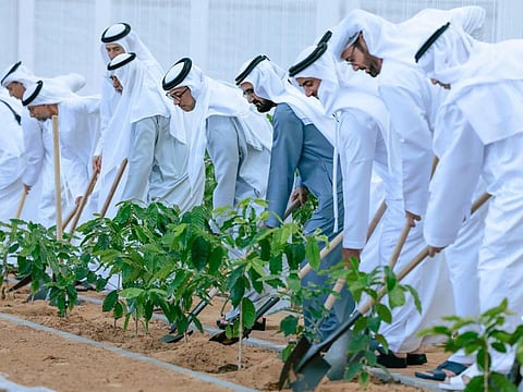 His Highness Sheikh Mohammed bin Rashid Al Maktoum, Vice President and Prime Minister of the UAE and Ruler of Dubai, and Sheikh Mansour bin Zayed Al Nahyan, Vice President, Deputy Prime Minister and Chairman of the Presidential Court, on the sidelines of the Cabinet meeting in Al Marmoom, Dubai on Sunday