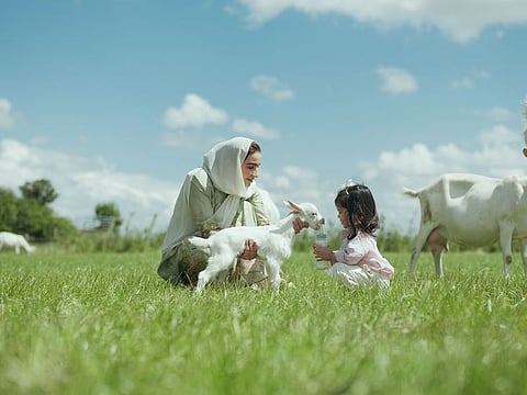 From grass to glass: Kabrita’s journey to gentle, high-quality nutrition