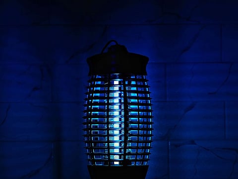 From electric bug zappers to eco-friendly, solar-powered traps, these solutions will keep your outdoor space mosquito-free.