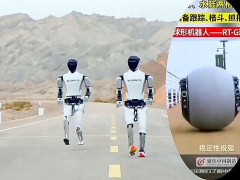 RobotEra's Star1 robots tackle the outdoors, while the water-resistant ball-shaped robocop help in law-enforcement (inset).