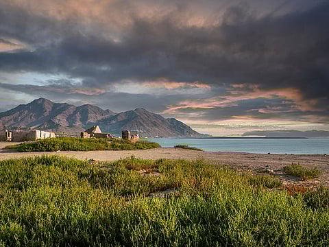 From scenic hikes and vibrant flower blooms to thrilling outdoor activities and bustling markets, Fujairah offers an exciting blend of nature and adventure.