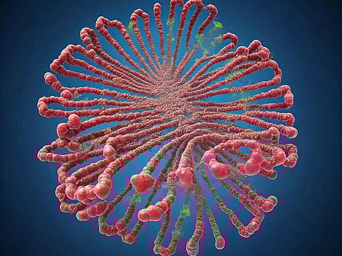 A team of researchers led by Kimberly Hartl, a graduate student at the Berlin Institute for Medical Systems Biology of the Max Delbruck Center (MDC-BIMSB) and Charite - Universitatsmedizin, have shed new light on the role of the p53 tumor suppressor gene in the pathogenesis of ulcerative colitis (UC) - an inflammatory bowel disease that afflicts an estimated five million people worldwide and that is linked to an increased risk of colon cancer. Picture used for illustrative purpose.