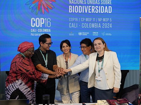 Razan Khalifa Al Mubarak (3rd from R) during participation at a meeting in Colombia