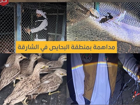 The Environment and Protected Areas Authority has seized illegally caught migratory birds.