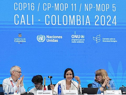 David Cooper, Executive Secretary of the COP16, Colombian Environment Minister and COP16 President, Susana Muhamad (C), and Secretary of the COP 16 Astrid Schomaker, attend the last plenary session of the COP16 Summit in Cali, Colombia on November 2, 2024.