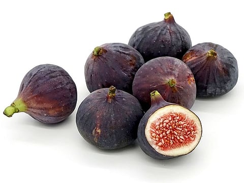 Fig flowers are pollinated by wasps, which die in the process.