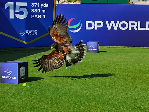 The DP World Tour Championship welcomed some very special guests earlier this week