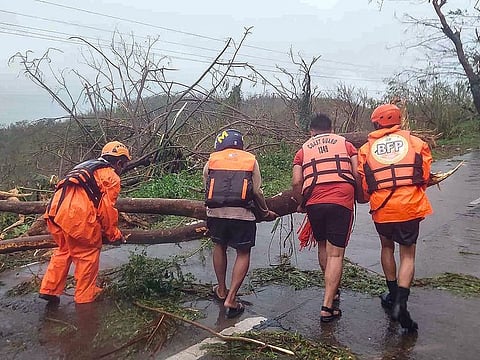 Coast guard personnel clearing a highway of fallen trees in Gigmoto town, Catanduanes province.