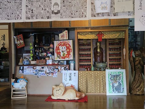 The entrance of the Unrinji 'cat' temple also has a large sign which reads, “A world which throws out its cats is a world that will perish.”