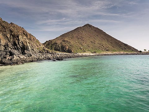 Shark Island is a great place for anyone who wants to enjoy snorkelling, scuba diving and swimming.
