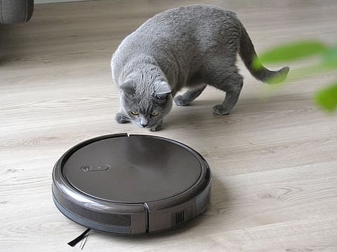Get ready to say goodbye to piles of pet hair and hello to a spotless home, all with the push of a button.