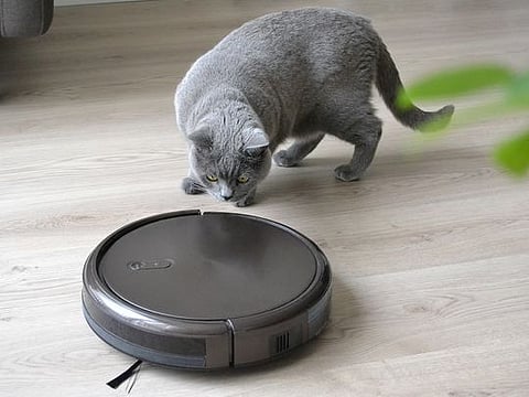 We rounded up five of the best robot vacuum-mop combos available in the UAE in 2026 for homes