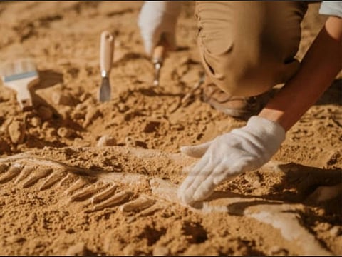 The fossils, primarily imprints and internal molds of bony fish, include extinct catfish species, or Silurians