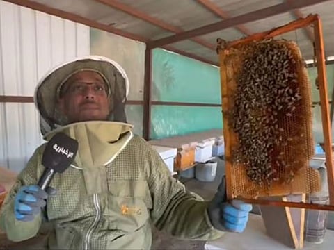 I have a hobby of beekeeping and loved practicing it, Nayef shared with Saudi TV Al Ekhbariya.