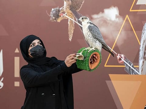 Saudi female falconers compete at the King Abdulaziz Festival.