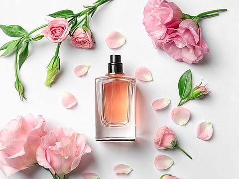 Perfect for any occasion, these scents are a balance of tradition and modernity, bringing a new energy to the world of rose fragrances.