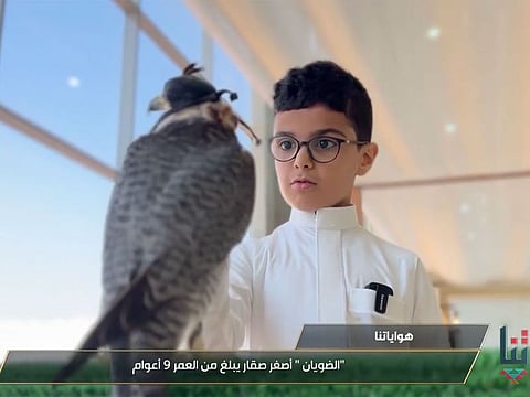 Khalid commands his bird, Azam, with precision and grace, his small movements guiding the falcon’s swift flights.