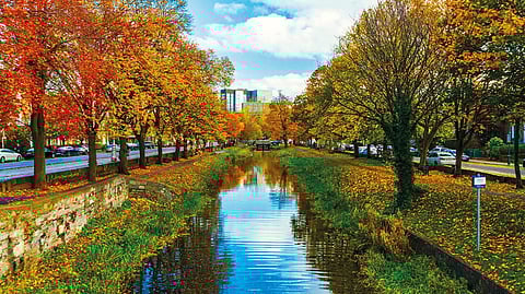 View of Grand Canal Dublin in autumn showing towpaths along canal banks, trees and grass