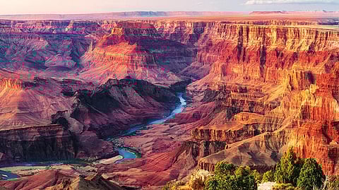 The coppery-coloured Grand Canyon formations have been depicted in many Widforss paintings