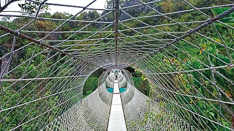 Outdoor pedestrian suspension bridge at Masungi Georeserve
