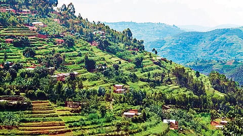 Rwanda has been dubbed ‘the land of a thousand hills’ and for once it’s a slogan guilty of understatement rather than hyperbole