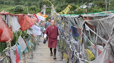 Dasho goes for a 30-minute afternoon walk in the forest almost every day