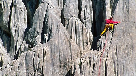 Blickwinkel / Alamy Stock Photo