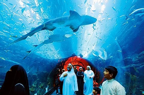 Dubai Aquarium and Underwater Zoo.