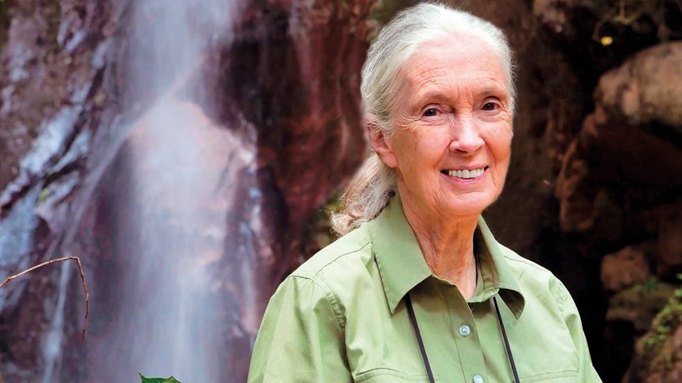 Dr Jane Goodall is in Dubai for the opening of the Dr Jane Goodall Pollinator Garden.