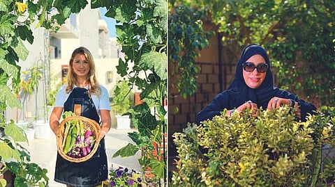 Eda, an industrial engineer, used her engineering background to plan and optimise every square foot of her outdoor living area and surround her home with organic produce. Juhaina decided on a sustainable approach to gardening, a hobby that had brought her immense pleasure even when she was a 10 year old growing a tamarind tree in her father’s home