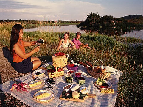 picnic