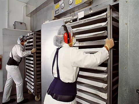 kitchen worker