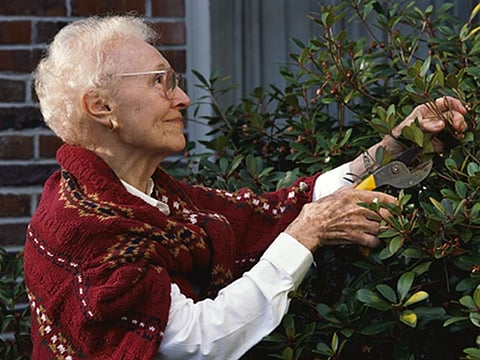 woman gardening