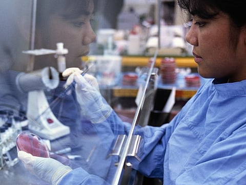 Health Care After COVID: A New Focus on Infectious Diseases